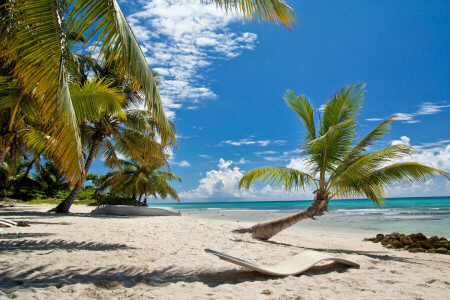 strand, palmbomen, palmen, paradijs, zand, zee, kust, zomer