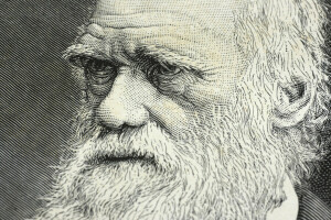 Darwin, dibujo, Genio, científico