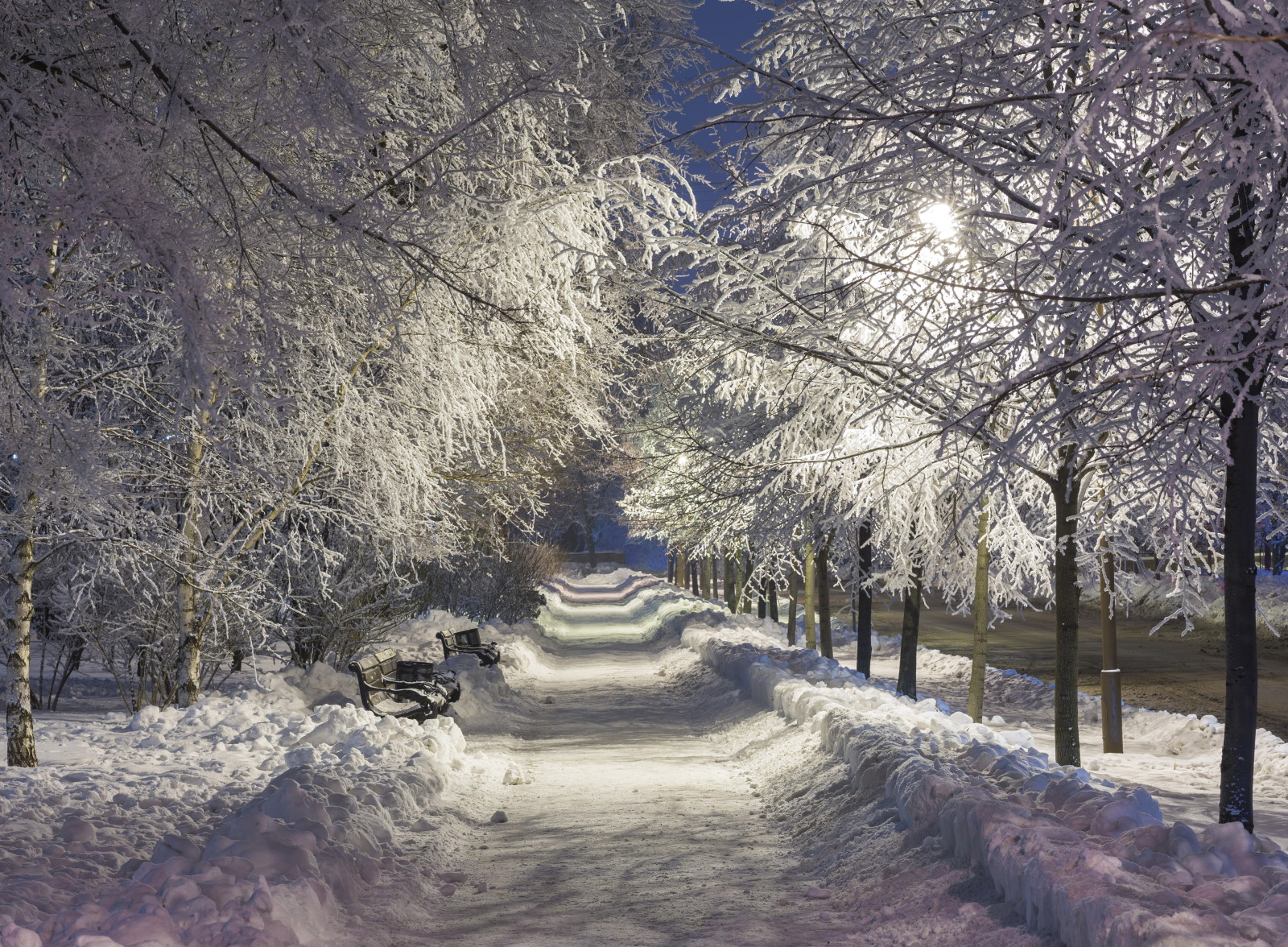 Schnee, Park, Winter, Nacht