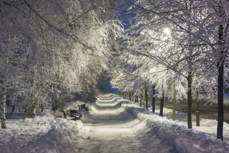 noche, Parque, nieve, invierno