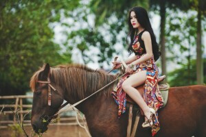 asian, girl, horse, look