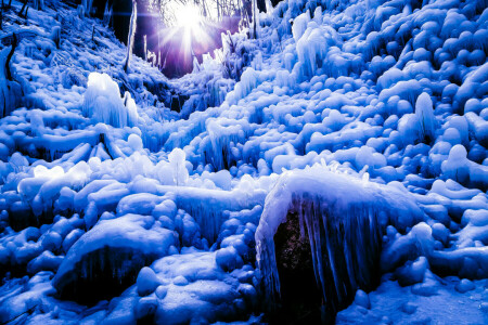 forêt, la glace, Des rayons, le soleil, hiver