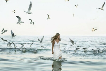 des oiseaux, blond, fille, mer, mouettes