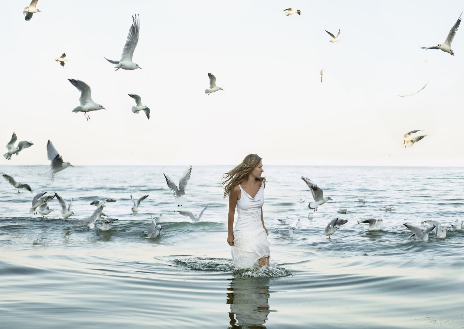 girl, blonde, sea, birds, seagulls