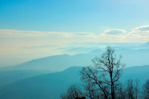 clouds, mountains, nature, the sky, trees