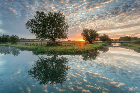 Pod, zori de zi, gard, reflecţie, râu, copaci