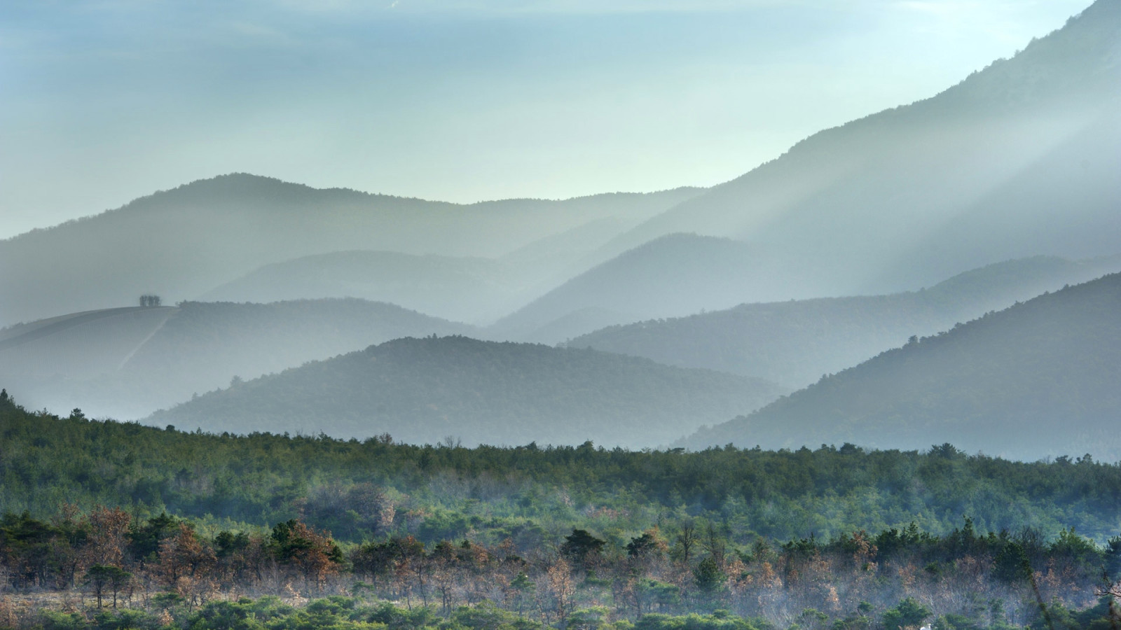 pădure, Franţa, munţi, ceaţă, Ron-Alpi, , În regiunea Provence, Drom