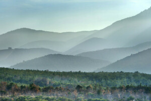 , In the Provence region, Drom, fog, forest, France, mountains, Rhône-Alpes