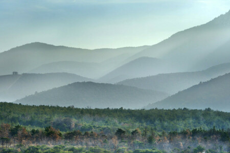 , În regiunea Provence, Drom, ceaţă, pădure, Franţa, munţi, Ron-Alpi