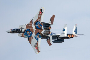 F-15DJ, Luchadores, vuelo