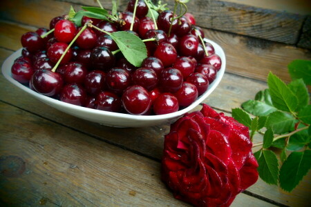 bayas, baya, Cereza, gotas, flor, Rosa, verano