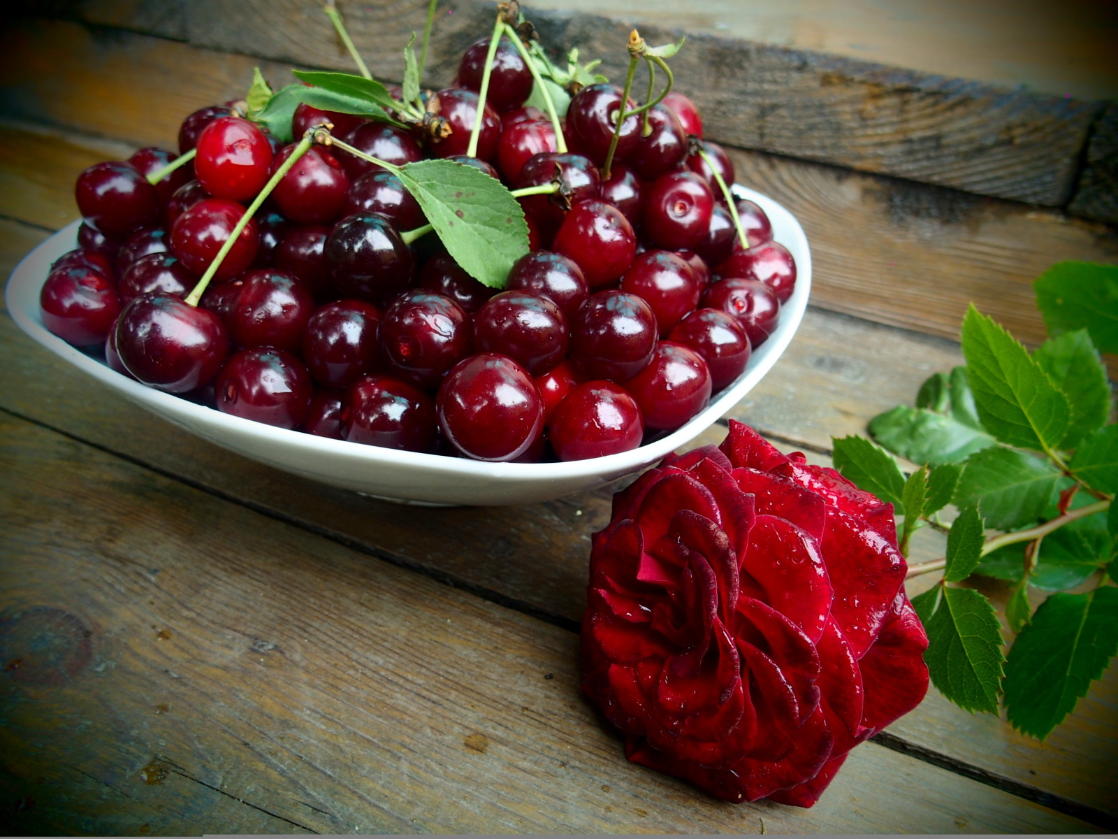 verão, rosa, bagas, flor, cereja, gotas, baga