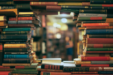 mucho, libros, biblioteca