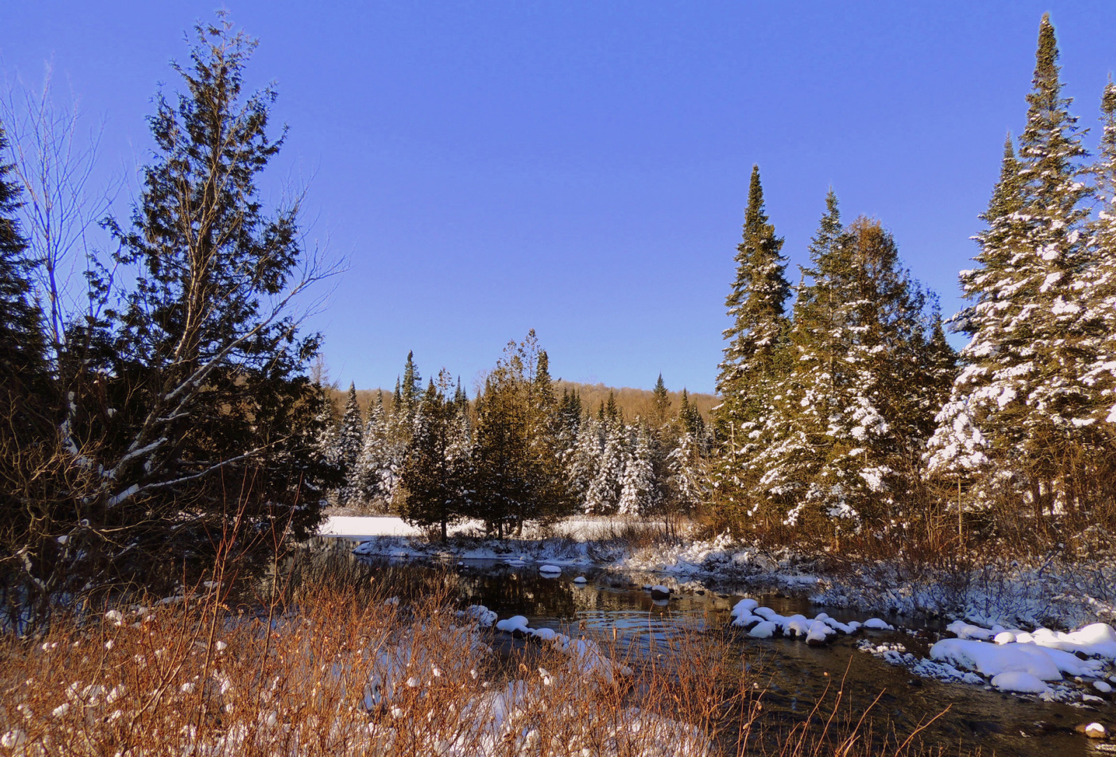 Schnee, Herbst, Wald, der Himmel, Fluss, Bäume