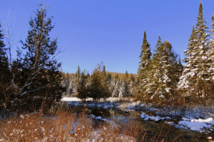 l'automne, forêt, rivière, neige, Le ciel, des arbres