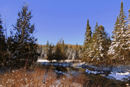 autumn, forest, river, snow, the sky, trees