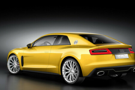 Audi, Konsept, coupe, sport