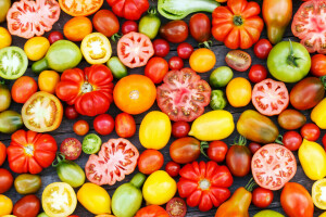 récolte, tomates, des légumes