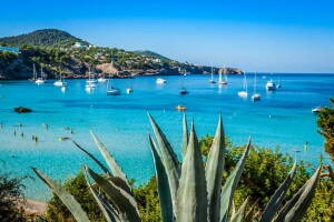 plage, côte, Ibiza, mer, Espagne, yachts