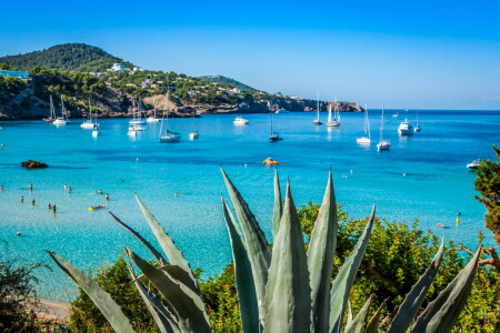 spiaggia, costa, Ibiza, mare, Spagna, yachts