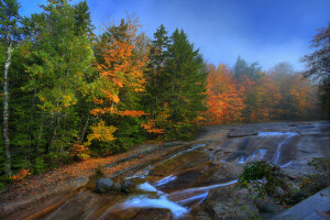 otoño, bosque, río, rocas, piedras, el cielo, arboles