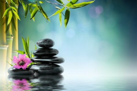 bamboo, flower, Orchid, reflection, Spa, stones, water, Zen