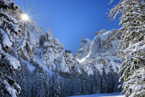 landskab, bjerge, vinter