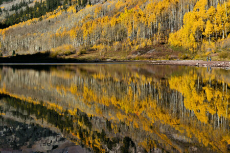 herfst, meer, mensen, reflectie, helling, bomen