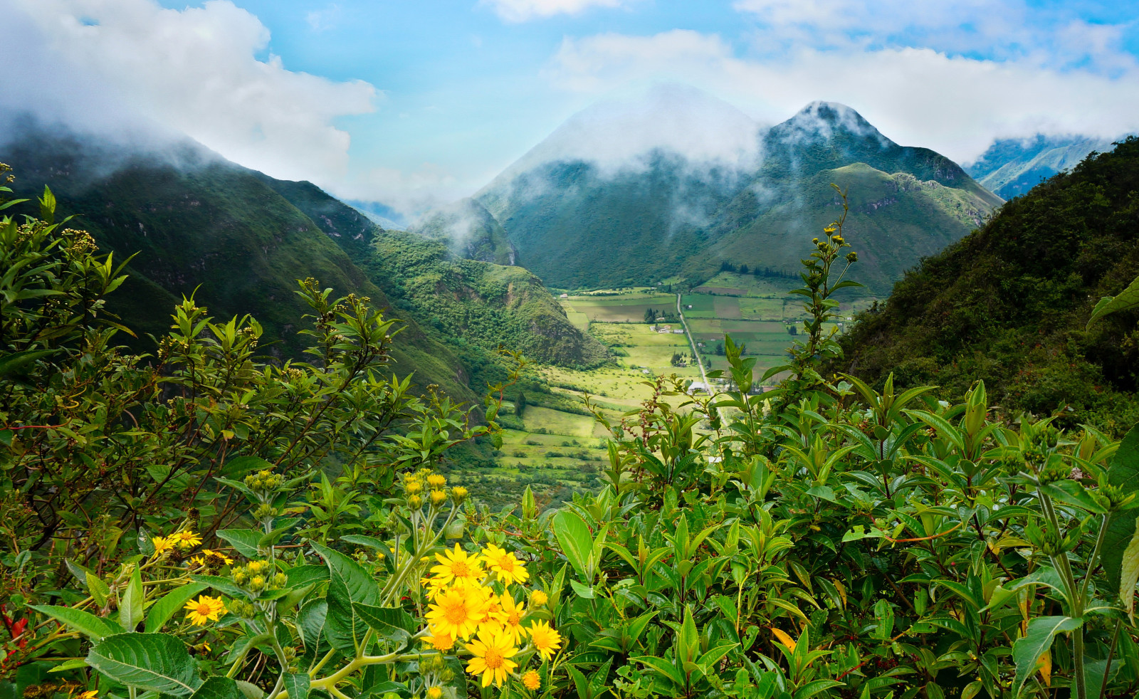 groenten, veld-, wolken, bergen, vallei, de bosjes, Ecuador, Pululahua