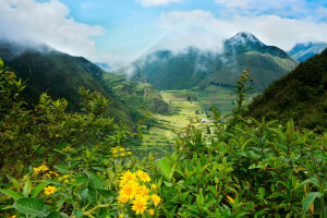 clouds, Ecuador, field, greens, mountains, Pululahua, the bushes, valley