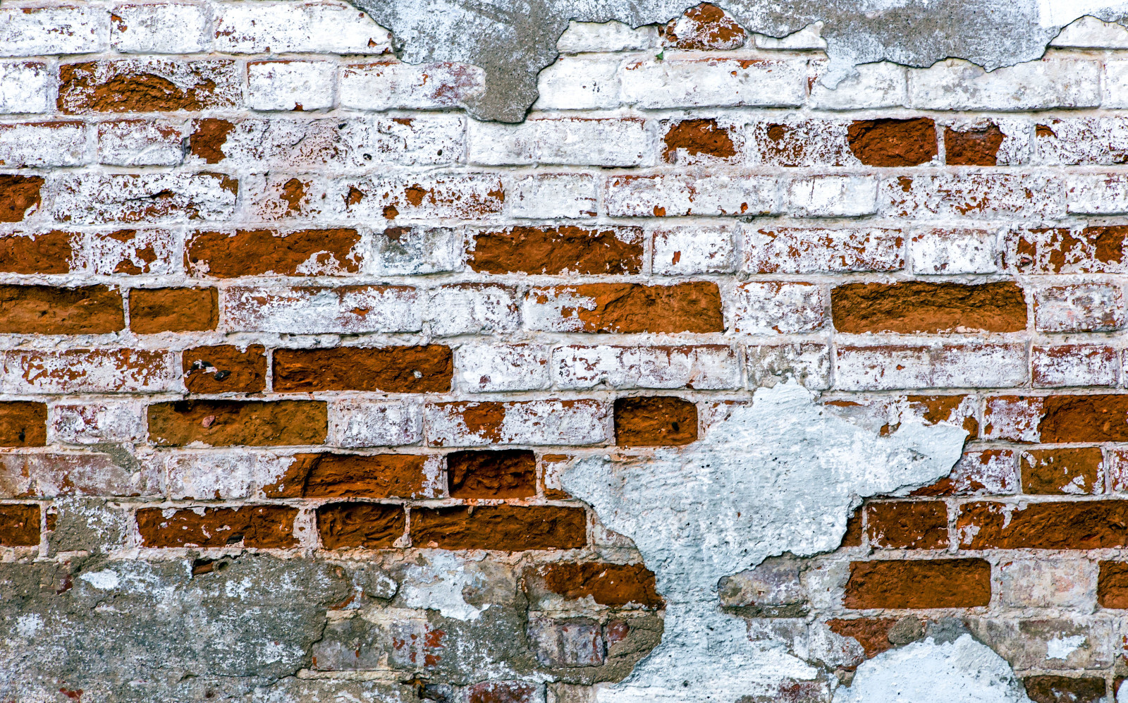 antecedentes, pared, textura