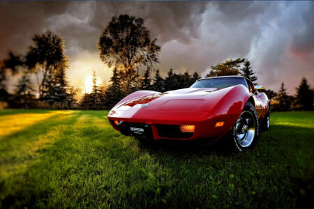 1969, clouds, Corvette, grass, sunset, the evening