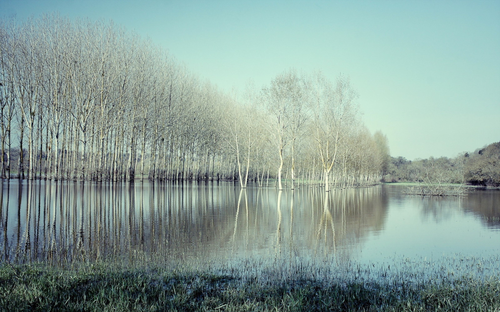 lago, paisaje, arboles