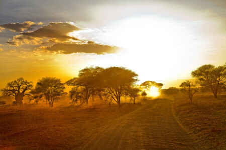 Afrika, landschap, ochtend-, weg