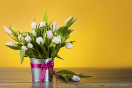 bow, bucket, flowers, tulips, white