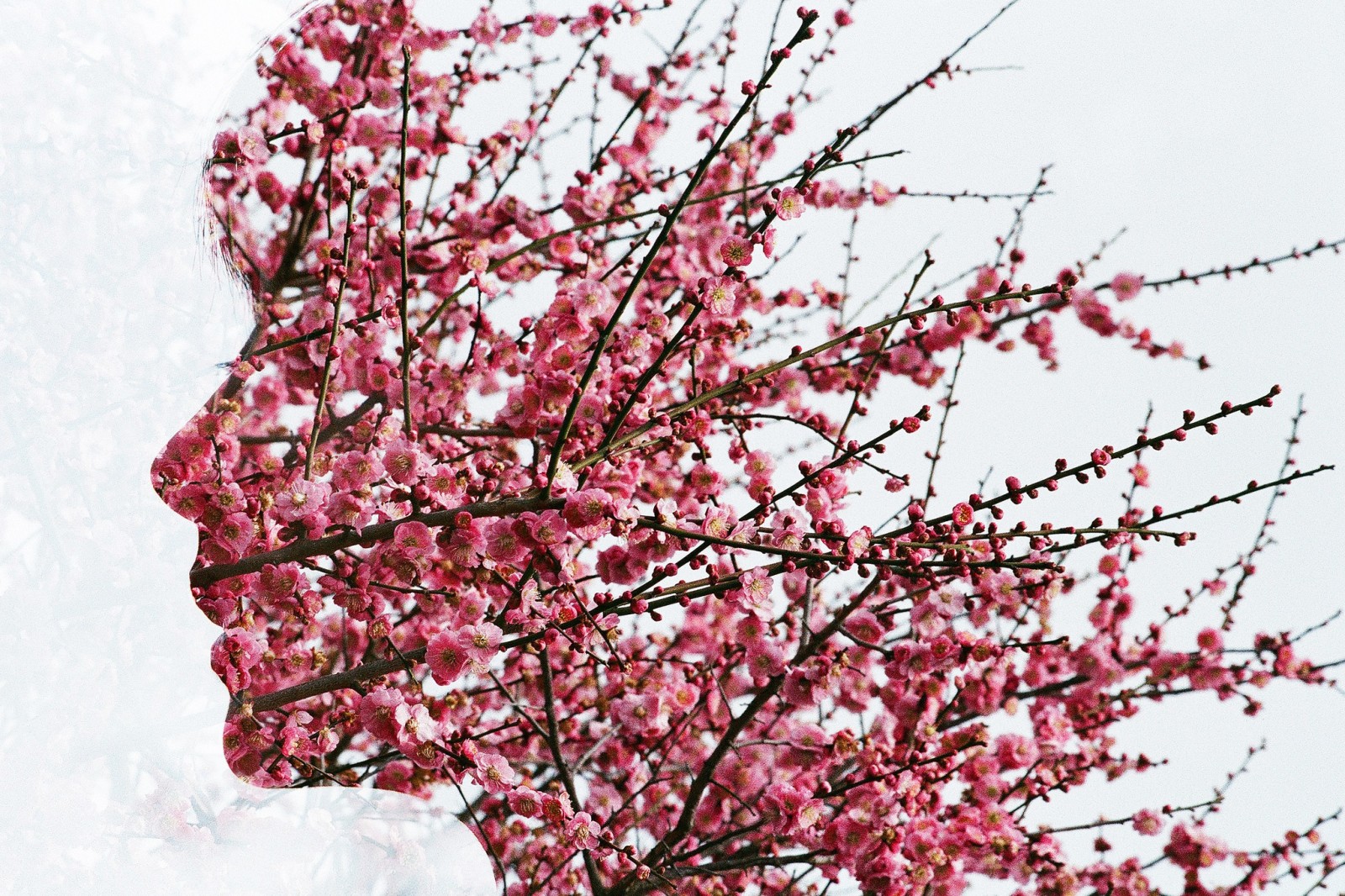 ansikt, blomster