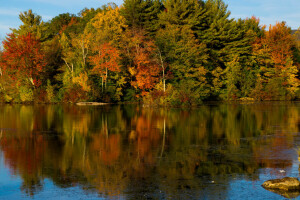 otoño, bosque, lago, río, el cielo, arboles, agua