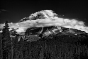 Wolken, Wald, Berge, Natur, Schnee, Spitzen