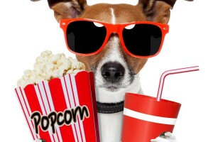 chien, boisson, des lunettes, pop corn