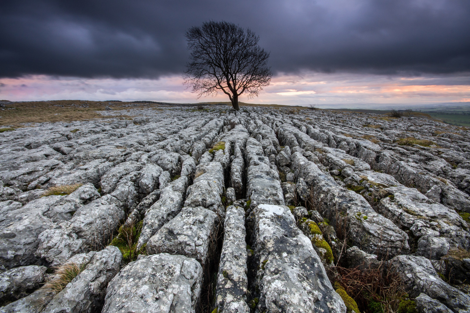 árbol, el cielo, piedras, nubes, rocas