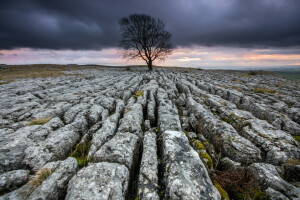 Wolken, Felsen, Steine, der Himmel, Baum