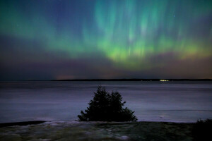 Finlândia, noite, Aurora boreal, estrelas, inverno