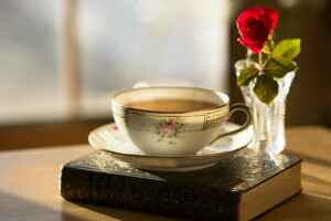 livre, tasse, Rose