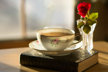 book, Cup, rose