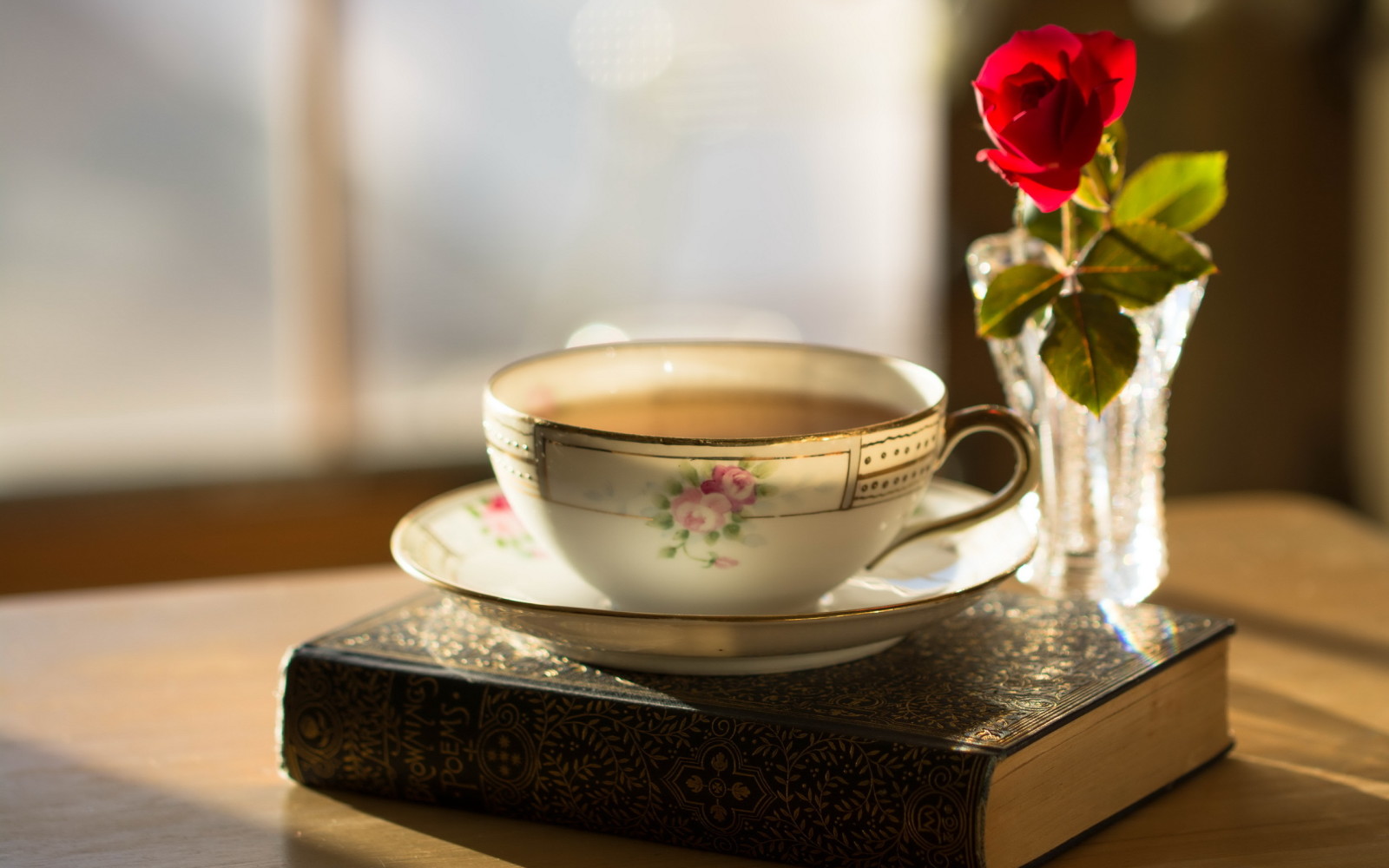 rosa, libro, Tazza