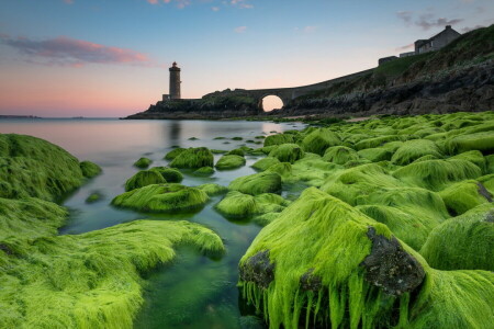 Faro, musgo, mar, piedras, puesta de sol