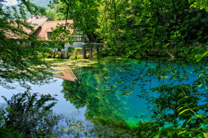 Blaubeuren, grenar, Trädgård, Tyskland, damm, reflexion, träd