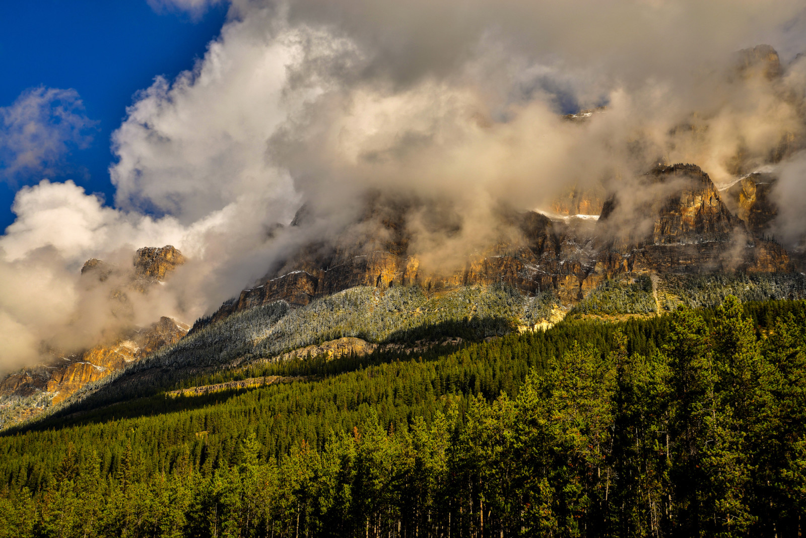 Wald, Bäume, Kanada, Wolken, Berge, Banff Nationalpark, Felsen, Banff