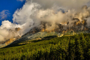 Banff, Banff Ulusal Parkı, Kanada, bulutlar, orman, dağlar, kayaçlar, ağaçlar