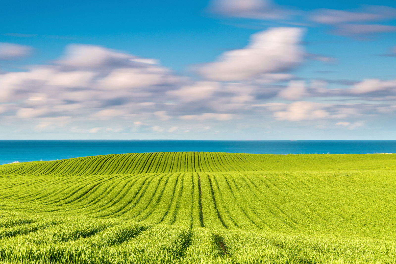 Feld, Frühling, Das Baltische Meer, kann